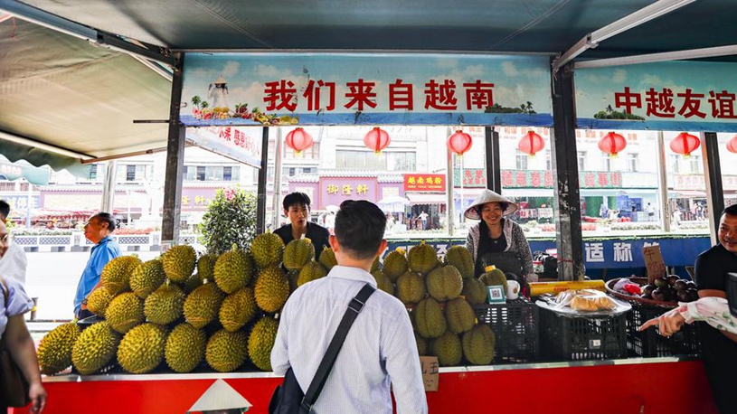 手职业生涯